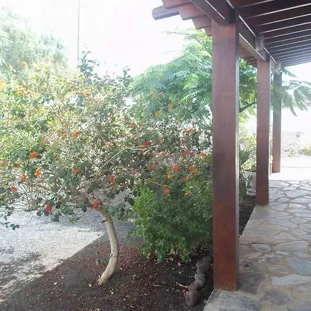 Dalylu La Asomada (Lanzarote)