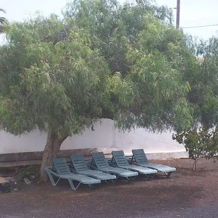 Dalylu فيلة *