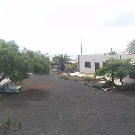 Dalylu
